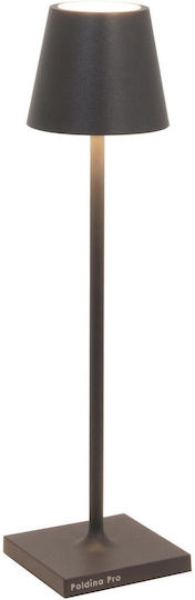 Zafferano LD0490