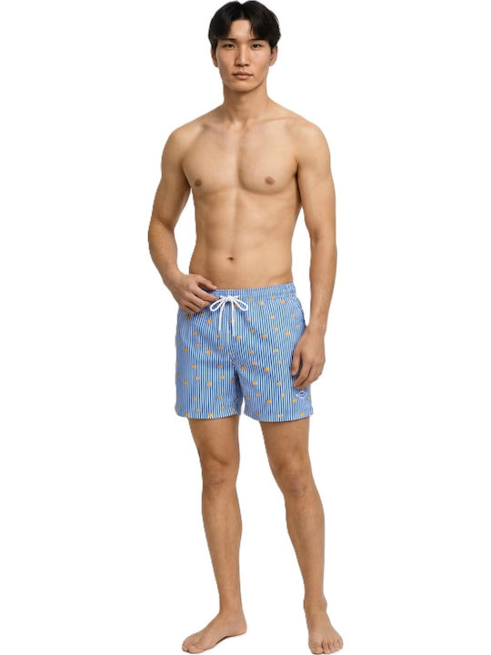 Men's Swimwear Shorts Delft with Stripes