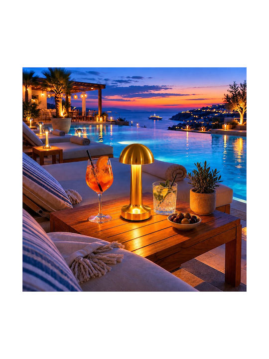 Decorative LED Light Warm White 3000K 2pcs