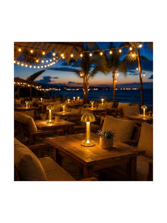 Decorative LED Light Warm White 3000K 8pcs