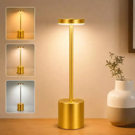 Decorative LED Light Warm White 3000K 4pcs