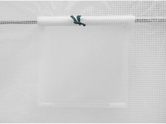 Saska Garden Greenhouse Cover 2x3x2m