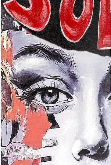 Πίνακας Καμβάς Muse Collage Πολύχρωμος 40x4x50εκ