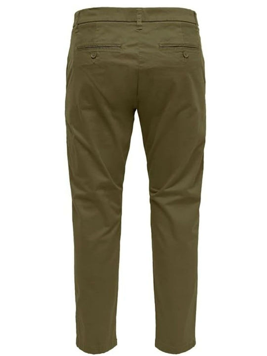 Chinos Herrenhosen Grün
