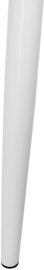 Dining Room Chair from Polypropylene White 62x54x81cm