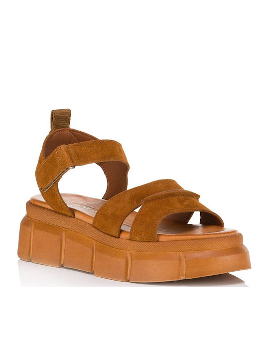 Tomas Shoes