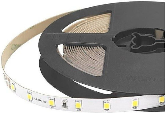 Cubalux LED Strip 24V Warm White Light 5m