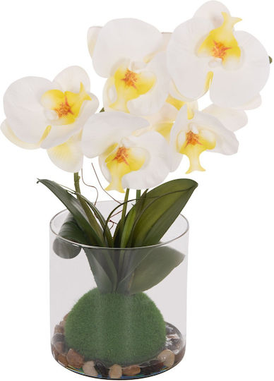 Dekoratives Künstliches Pflanze Fb94738 Blume Phalaenopsis Glasvase 12x24x30cm