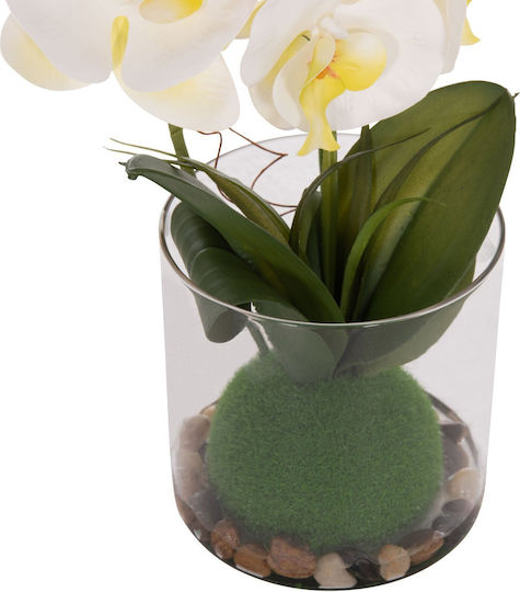 Dekoratives Künstliches Pflanze Fb94738 Blume Phalaenopsis Glasvase 12x24x30cm