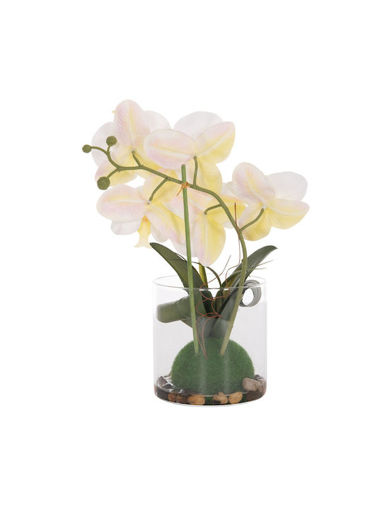 Decorative Artificial Plant Fb94738 Orchid Glass Vase 12x24x30cm