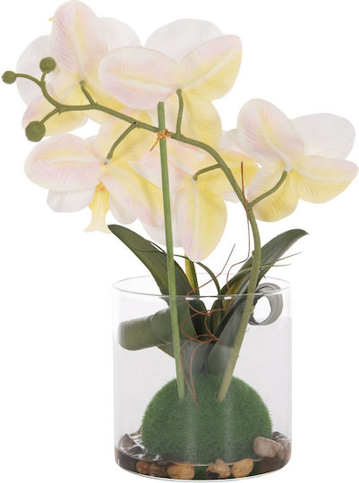Dekoratives Künstliches Pflanze Fb94738 Blume Phalaenopsis Glasvase 12x24x30cm