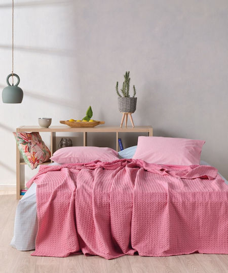 Kentia Loft Illusion