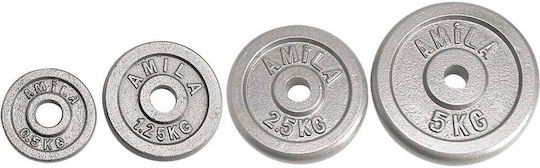 AMILA Δίσκος Μεταλλικός 1 x 5kg Φ28mm