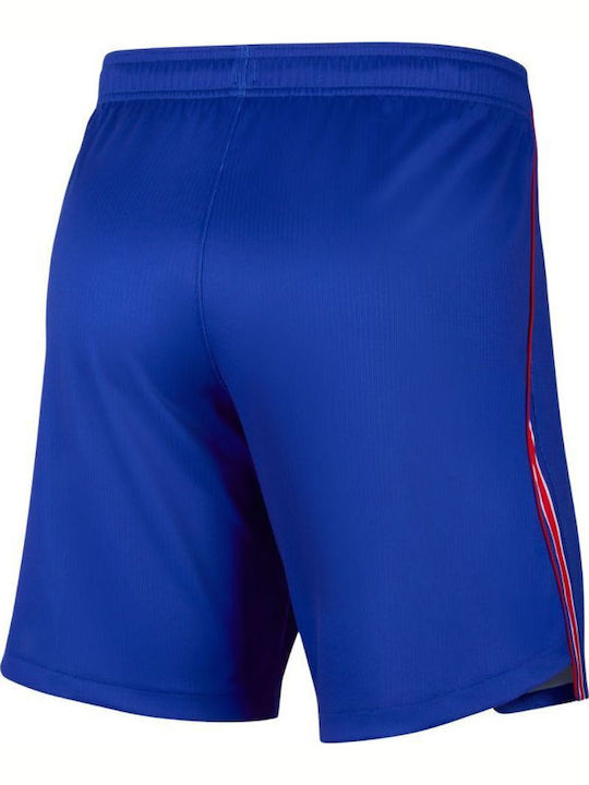 Paris Saint-germain Sport Herren Shorts Dri-Fit Blau
