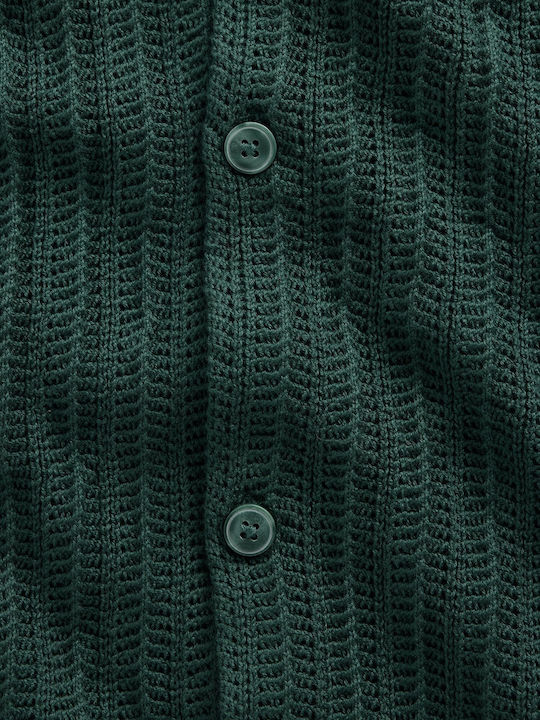 Short Sleeve Cotton Shirt Deep Hunter Green