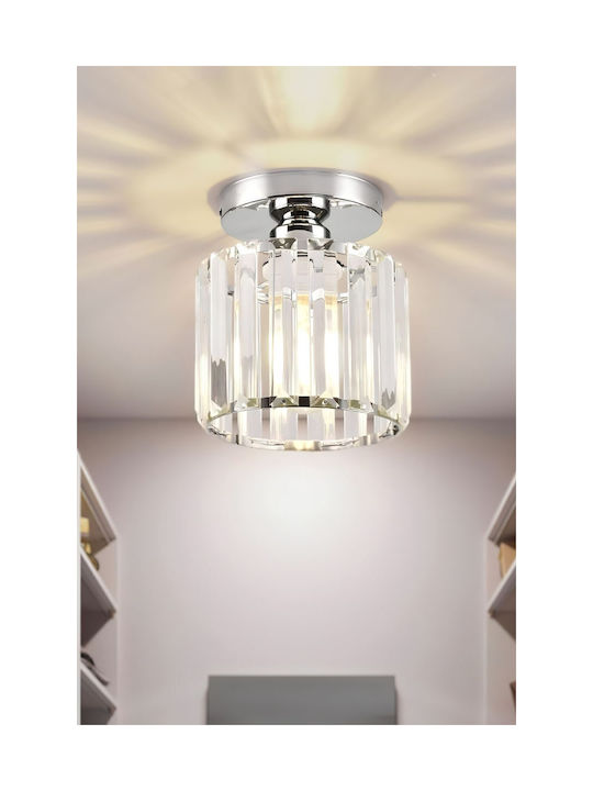 SteweHome Plafonieră de Tavan 22cm Argintie cu Soclu E27