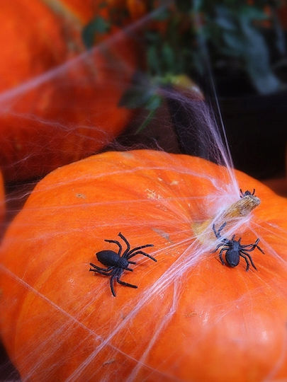Karneval Spinne Schwarz für Halloween aus Kunststoff 10Stück