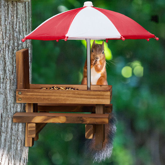 Relaxdays Tisch Eichhörnchen 2 Regenschirme