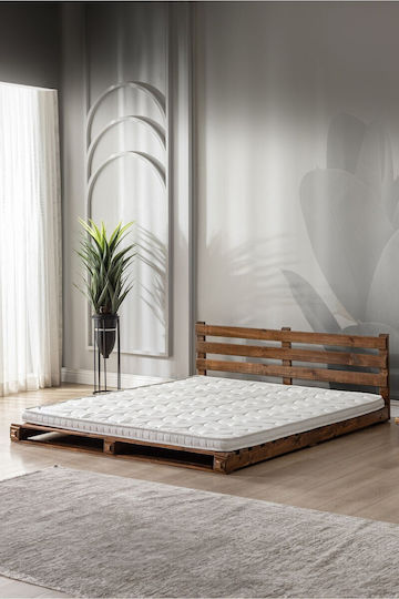 SteweHome Einzeln Orthopädische Matratze Beidseitig Rollenverpackung 80x180x6cm