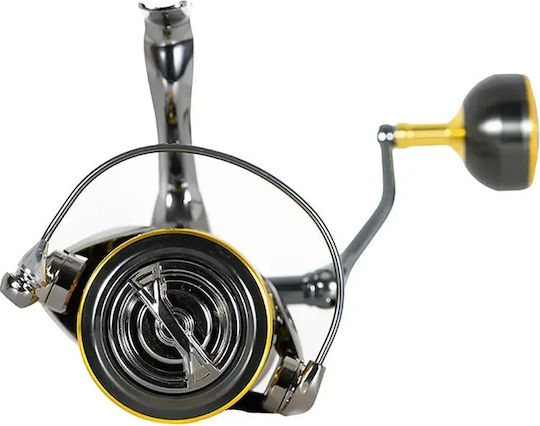 Ryuji Ares X Spinning 1000 Angelrollen für Eging / Leichtes Felsangeln (LRF) / Shore Jigging / Spinnfischen