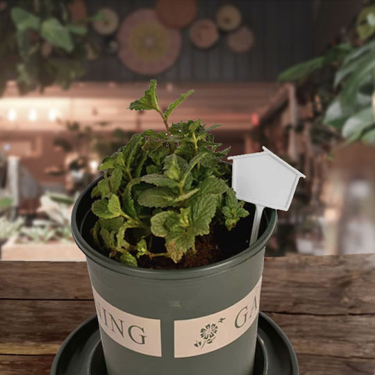 Plastic Plant Label Spike 15cm 6 Colors Head Dimensions 7x4cm White