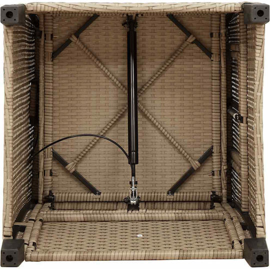 Outdoor Chair Rattan Beige with Cushion