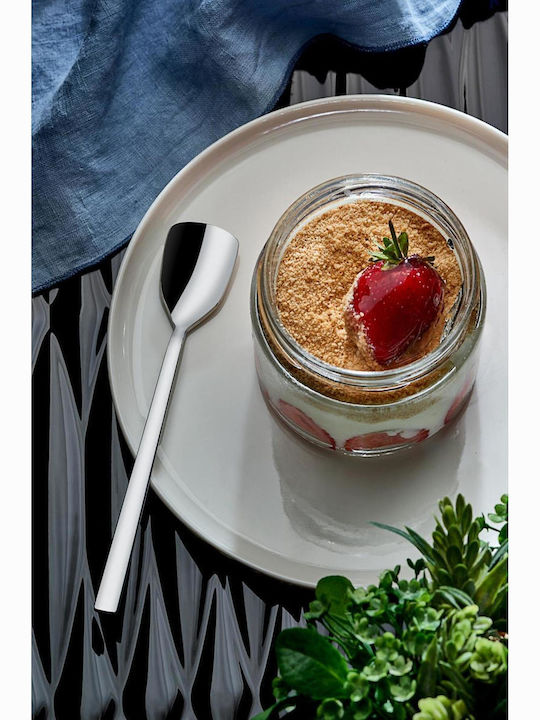 SteweHome SteweHome Löffel Dessert / Eiscreme Rostfreier Stahl Silber 2 Stück