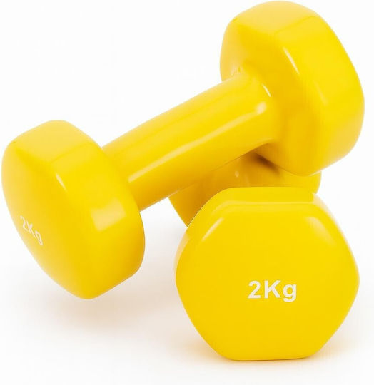 Αθλοπαιδιά Βαράκι Βινυλίου 1 x 2kg