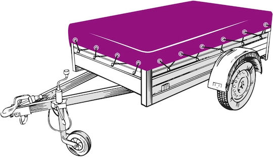 vidaXL Δίχτυ Αποσκευών Αυτοκινήτου 300x2cm Πράσινο