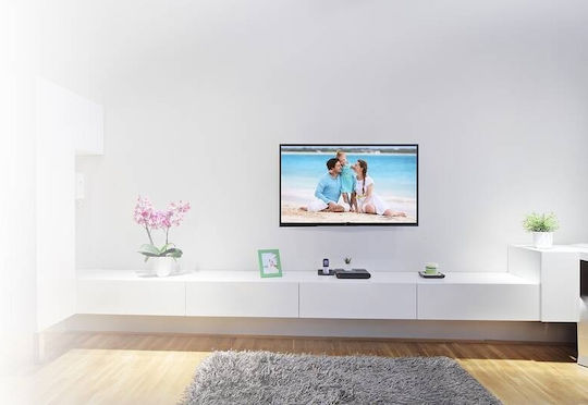 GoGEN DRZAKFIXXL2 Επιτοίχια έως 70" και 40kg