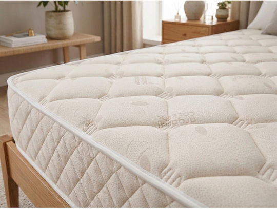 SteweHome Ορθοπεδικό Στρώμα Κούνιας με Memory Foam 50x100+24cm