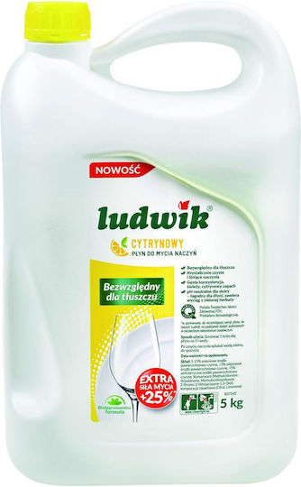 Ludwik Λεμόνι Επαγγελματικό 5lt
