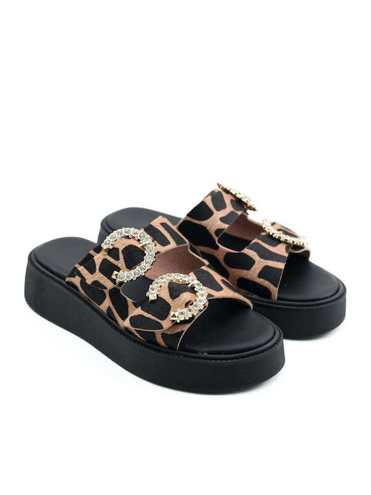 Shoelover Shoelover