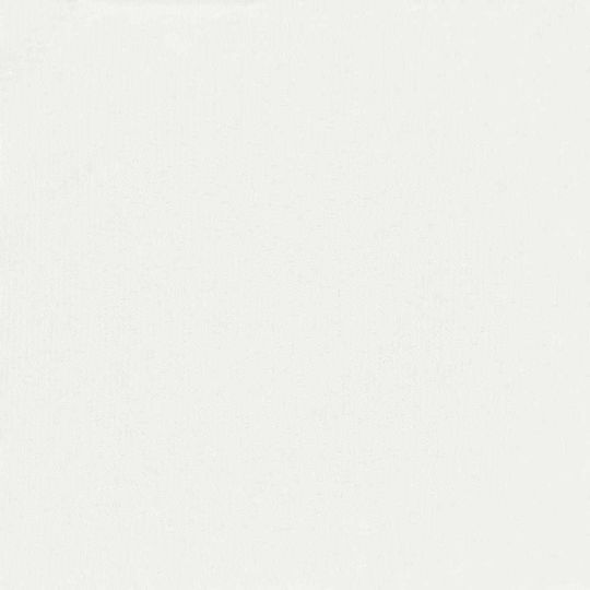 vidaXL White Shade Divider with PU Coating 1.5x4m 160gr/m²
