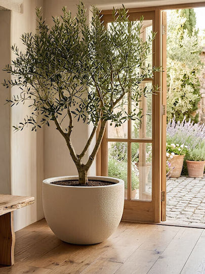 Harmony Mylos Γλάστρα Λευκό 55x55x36.5εκ.