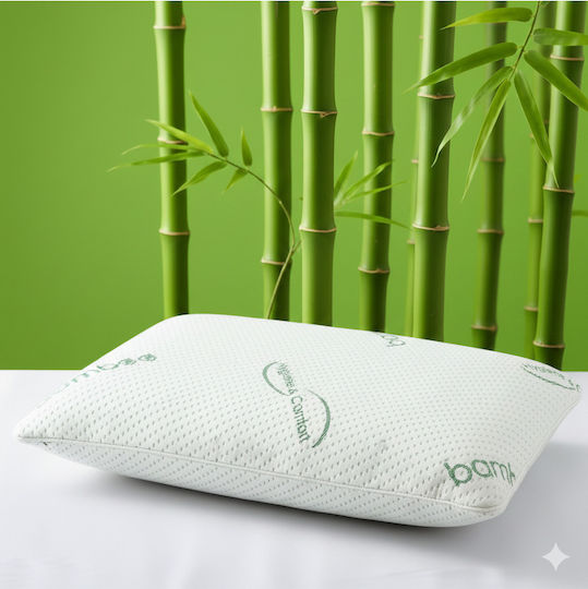 SteweHome Bamboo Latex 50x70cm 2τμχ