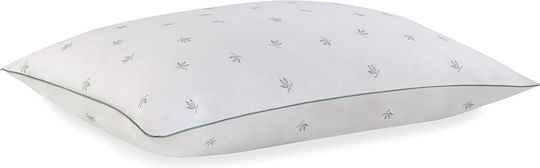 SteweHome Aloe Vera Cotton 50x70cm