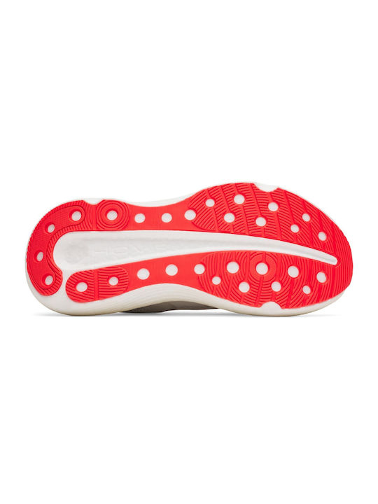 Infinite Elite 2 Sport Shoes Running Coffee