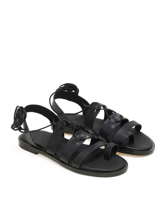 Shoelover Shoelover