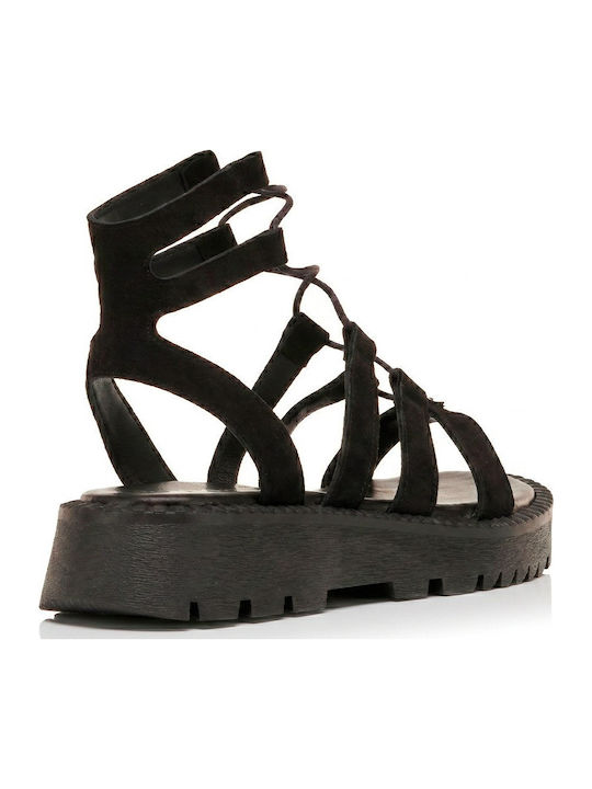 Tomas Shoes