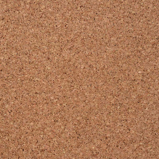 vidaXL Cork Notice Board