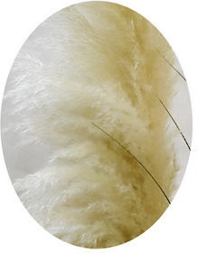 Pampas Grass Decorativ Artificial Plantă În Ghiveci 150cm Pampas Grass Decorativ Artificial Plantă În Ghiveci 150cm