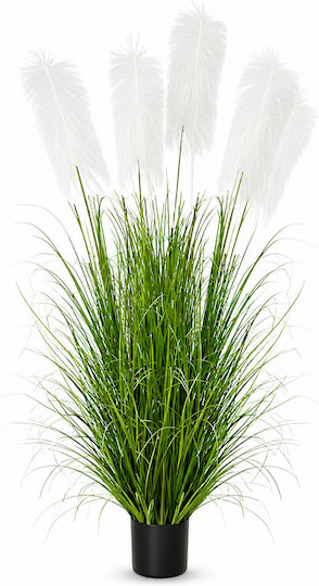 Iarbă Pampas Artificială Decorativă Plantă În Ghiveci 180cm Iarbă Pampas Artificială Decorativă Plantă În Ghiveci 180cm