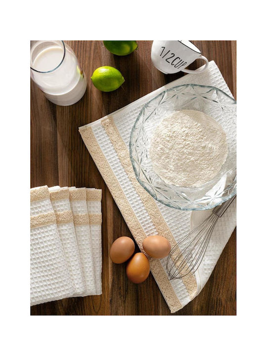 SteweHome Kitchen Towel Made of 100% Cotton in White Colour 40x60cm 5 Pieces
