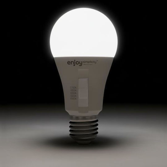 Elvhx LED Spot with 10 Lights