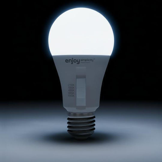 Elvhx LED Spot with 10 Lights