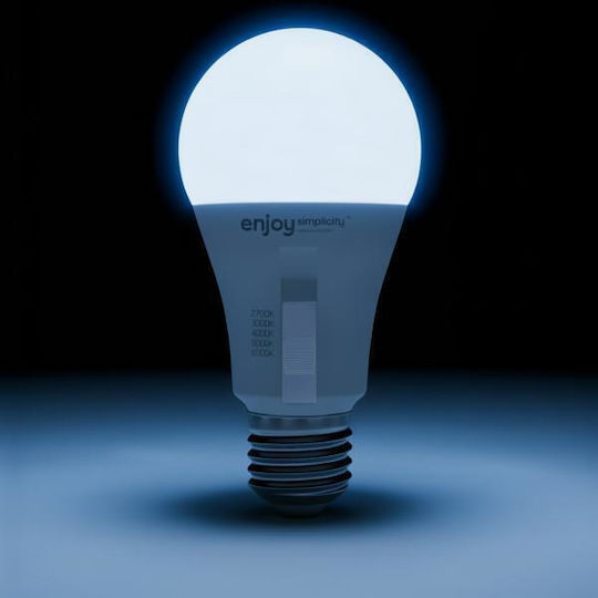 Elvhx LED Spot with 10 Lights