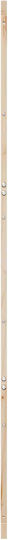 Poartă Tip Hambar Natur 100 x 2,5 x 208 Cm Lemn Masiv De Pin 42047135 Bej