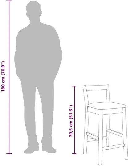 Taburete Bar Cu Spătar Din Lemn Alb 2 Buc 35.5x42.5x79.5 cm