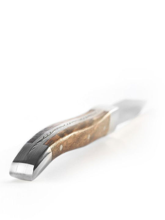 Comas Alps Meat Knife Made of Stainless Steel 23cm